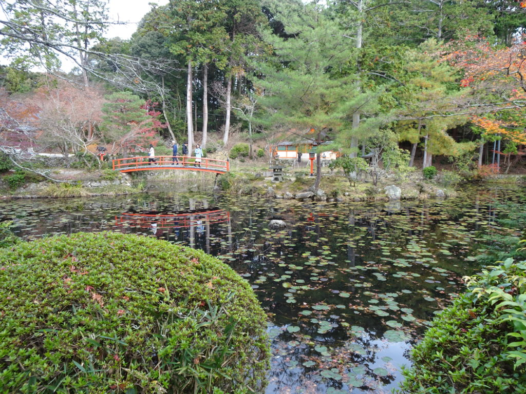 大原野神社鯉沢の池１