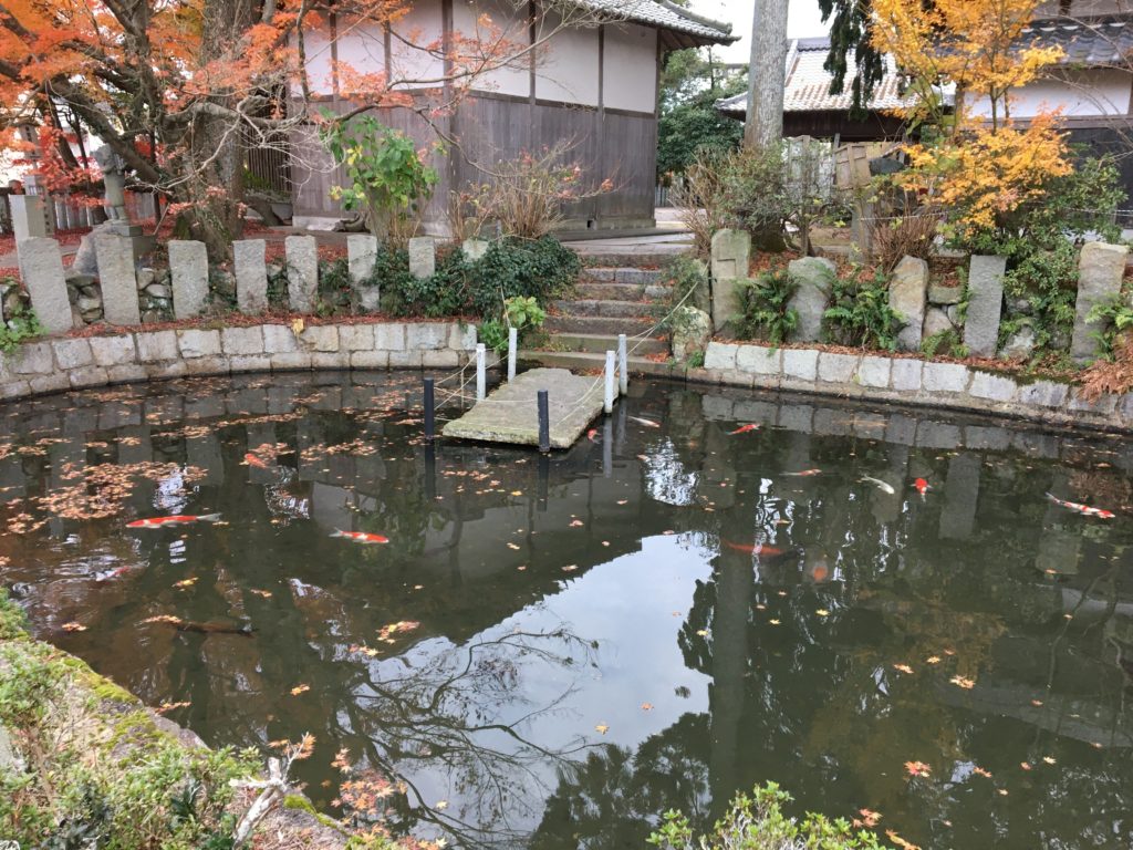 和銅禊の池２